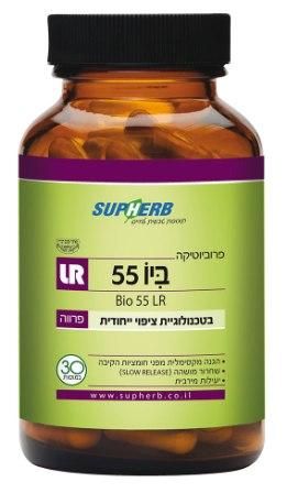 תמונה ממוזערת 1